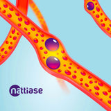 Gélules de Nattokinase (2000 FU - 100 mg) - Uno Vita AS