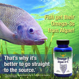 Omega 3 Algae A+E® - Uno Vita AS