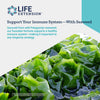 Optimized Fucoidan with Maritech® 926 - Uno Vita AS