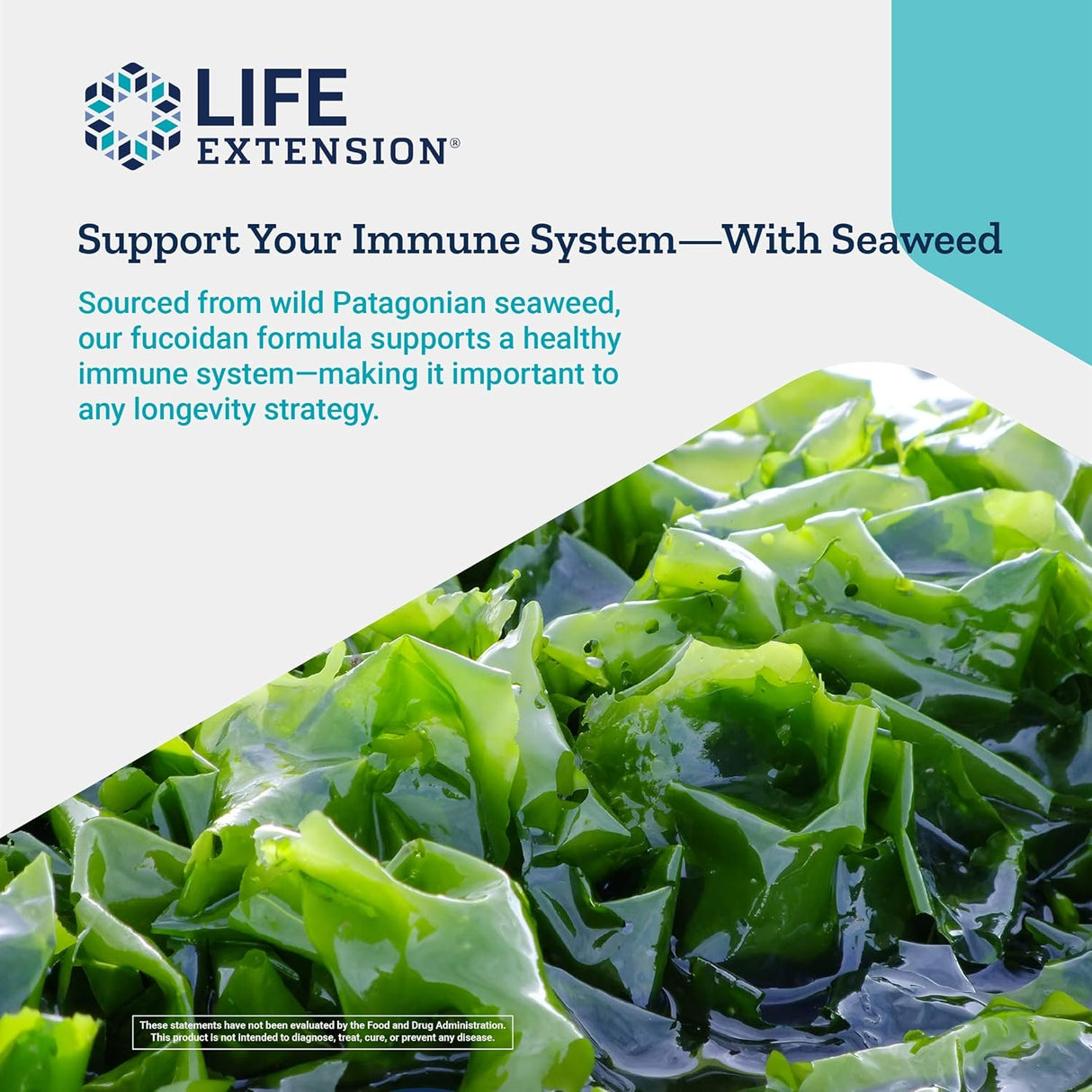 Optimized Fucoidan with Maritech® 926 - Uno Vita AS