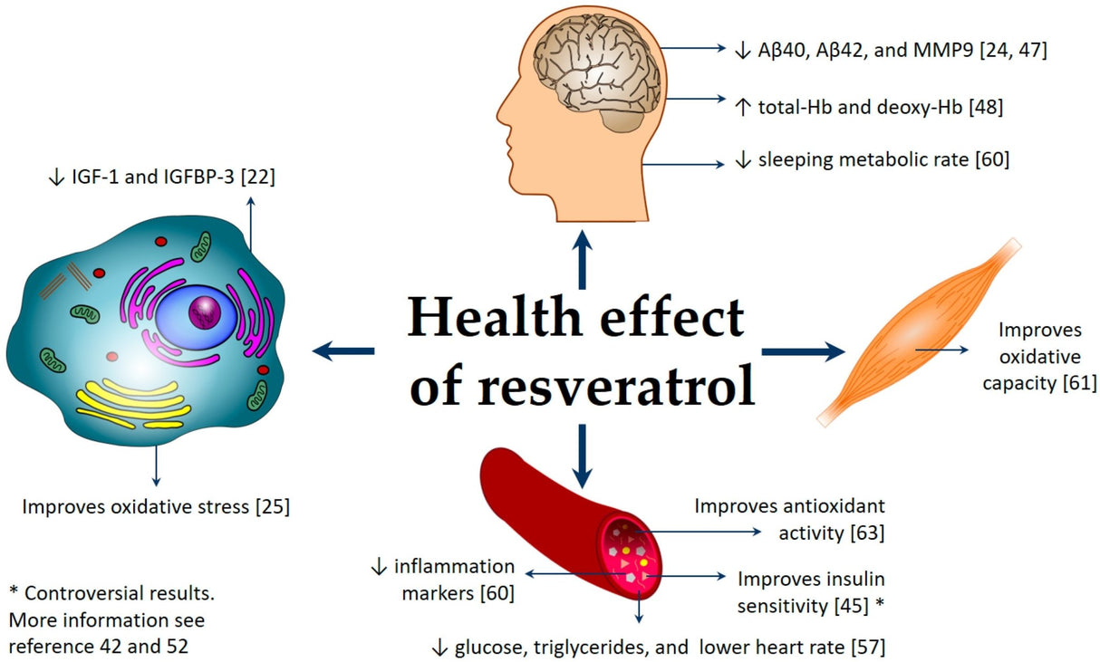 Optimized Resveratrol Elite (60) - Uno Vita AS