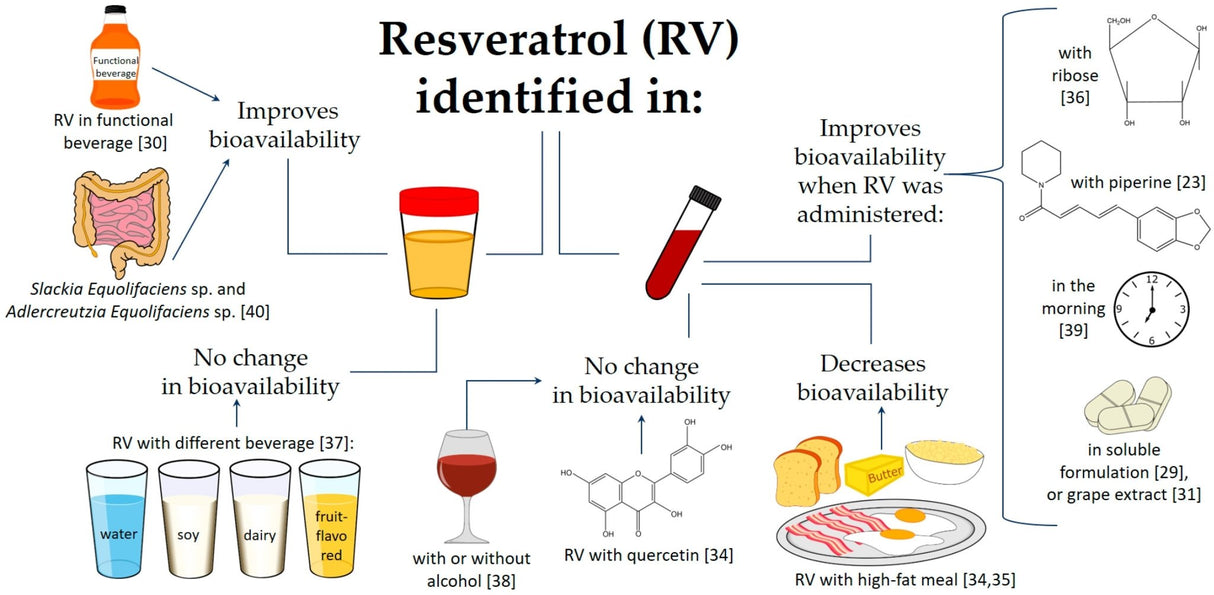 Optimized Resveratrol Elite (60) - Uno Vita AS