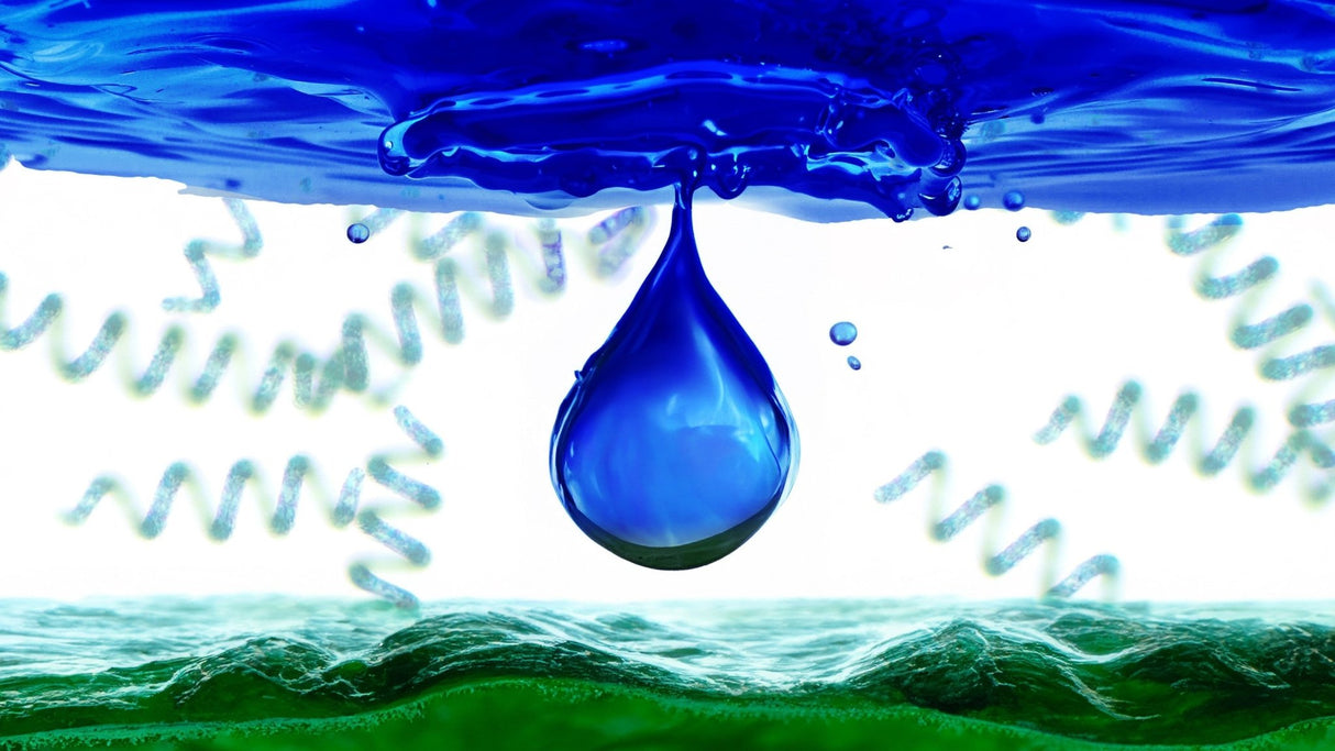 PHYCOCYANIN – Das Herz von Spirulina und 10K Phycocyanin – Uno Vita AS