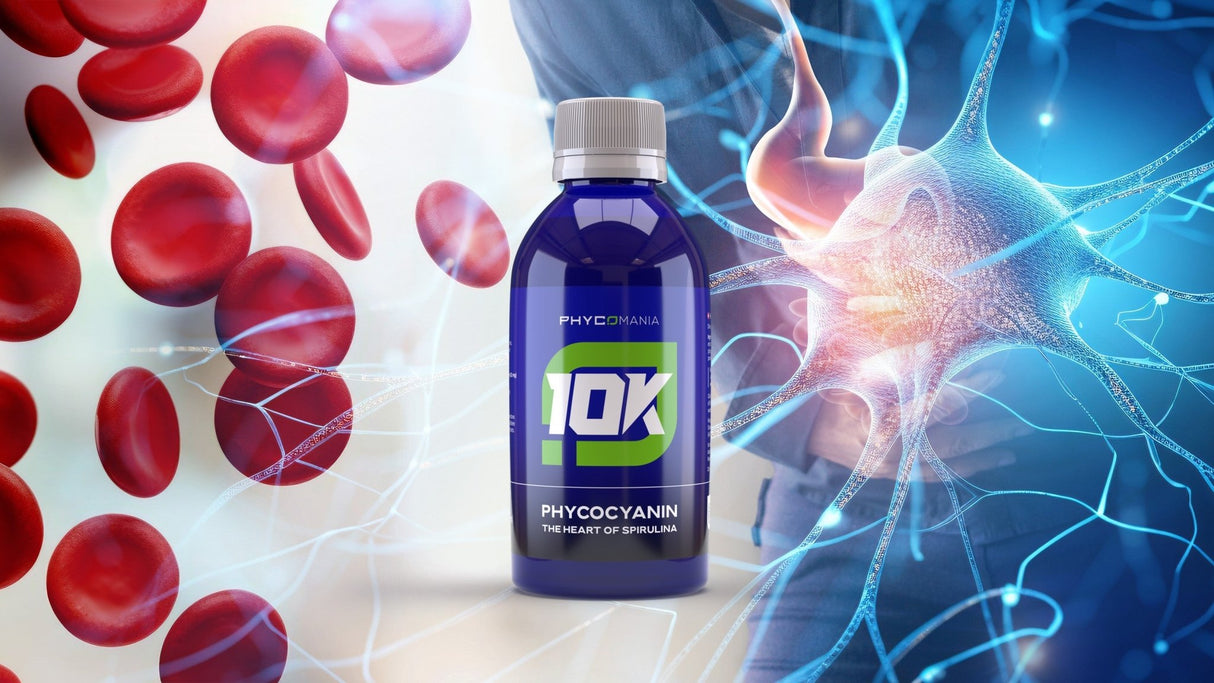 PHYCOCYANIN – Das Herz von Spirulina und 10K Phycocyanin – Uno Vita AS