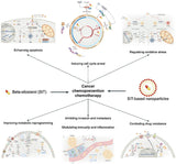 Växtsteroler - Beta - Sitosterol - Uno Vita AS