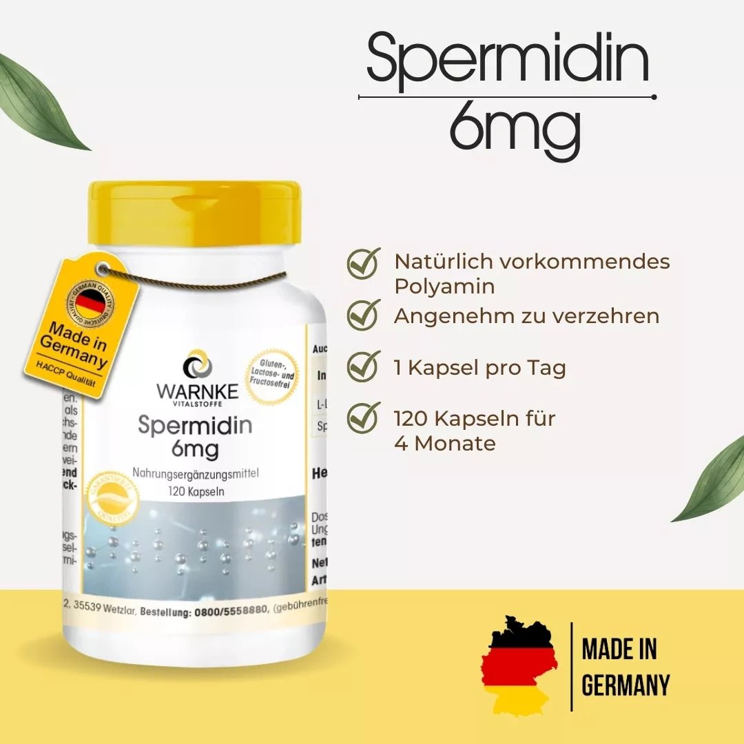 Spermidin 6 mg kapsler med gul kork, merking av tysk kvalitet og plantebasert innhold, 120 kapsler per flaske.