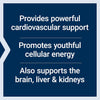 Super Ubichinolo CoQ10 con supporto mitocondriale potenziato (100 mg - 60 capsule) - Uno Vita AS