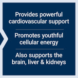 Super Ubichinolo CoQ10 con supporto mitocondriale potenziato (100 mg - 60 capsule) - Uno Vita AS