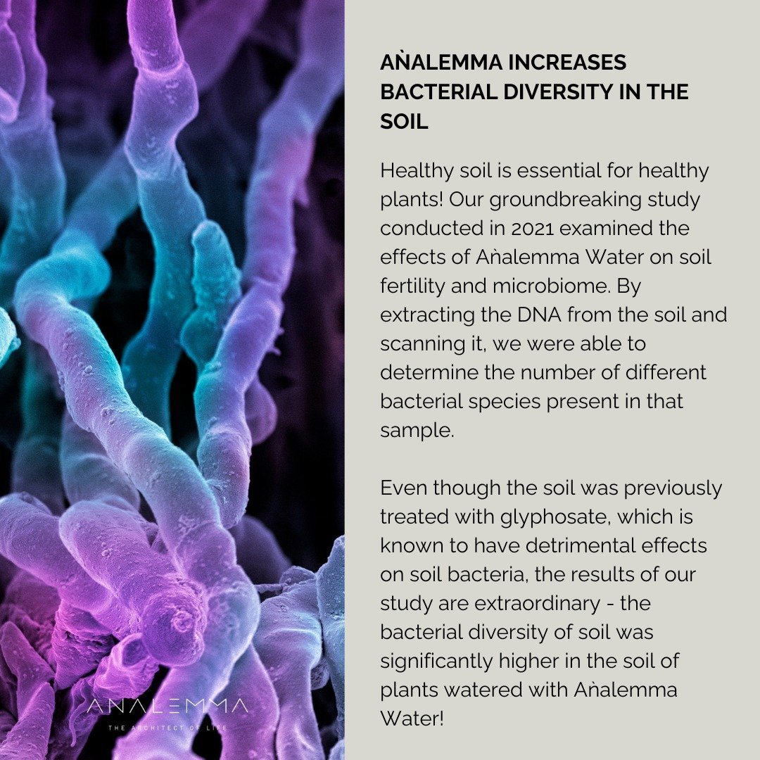 Der Analemma-Zauberstab – Uno Vita AS