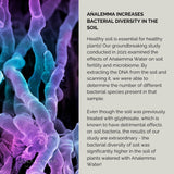 Der Analemma-Zauberstab – Uno Vita AS