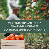 Der Analemma-Zauberstab – Uno Vita AS