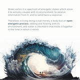 Der Analemma-Zauberstab – Uno Vita AS