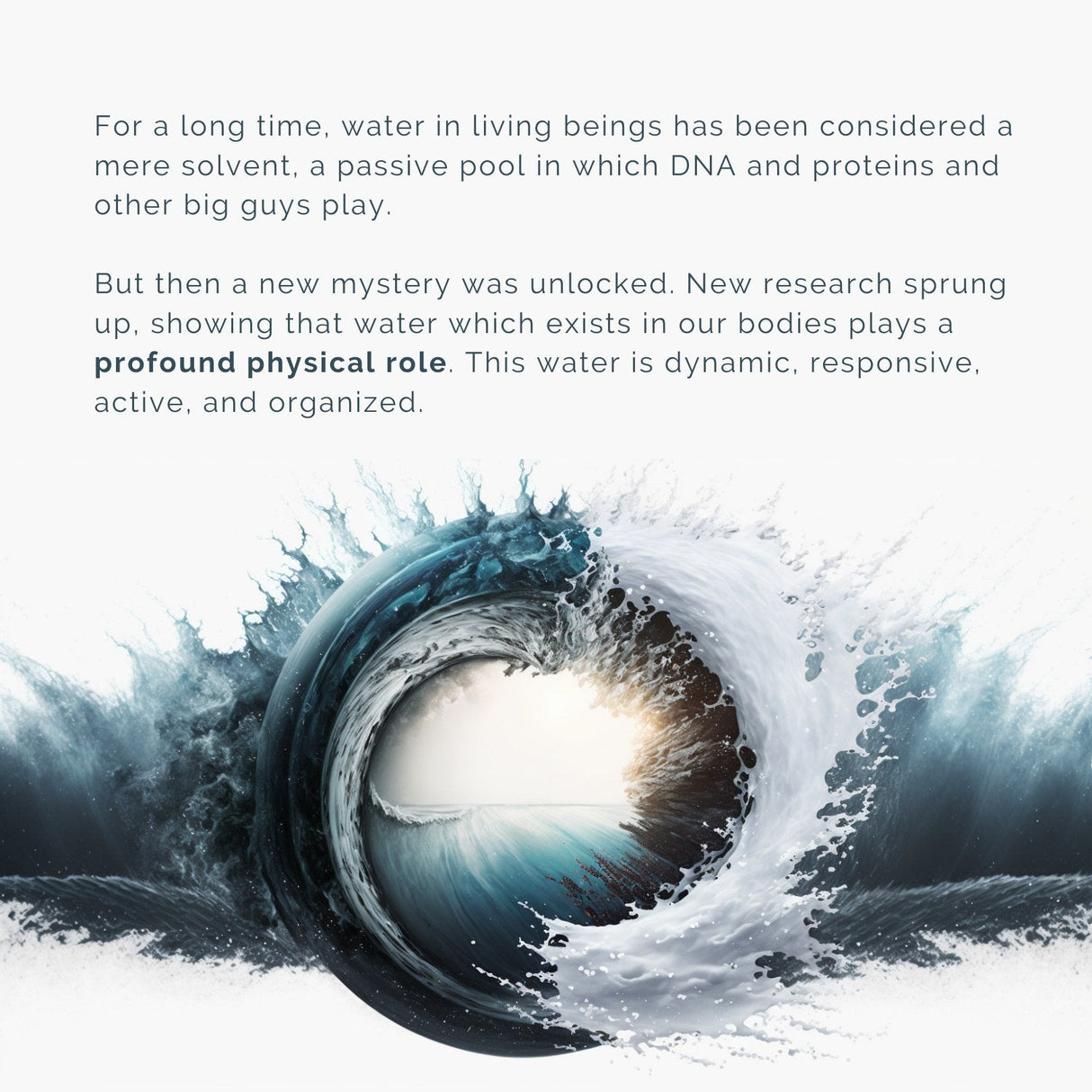 Der Analemma-Zauberstab – Uno Vita AS