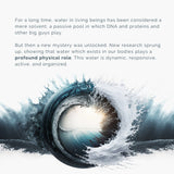 Der Analemma-Zauberstab – Uno Vita AS