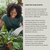 Der Analemma-Zauberstab – Uno Vita AS