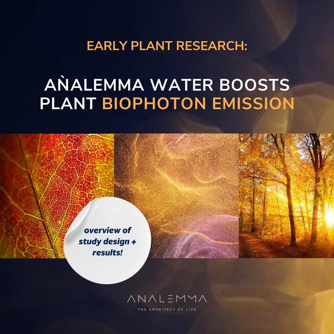 Der Analemma-Zauberstab – Uno Vita AS