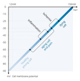 TimeWaver Home Version 2 (Mikrostrom- und Frequenztherapie) – Uno Vita AS
