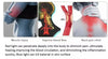Uno Vita Red & Blue Light Therapy Neck Device - Uno Vita AS