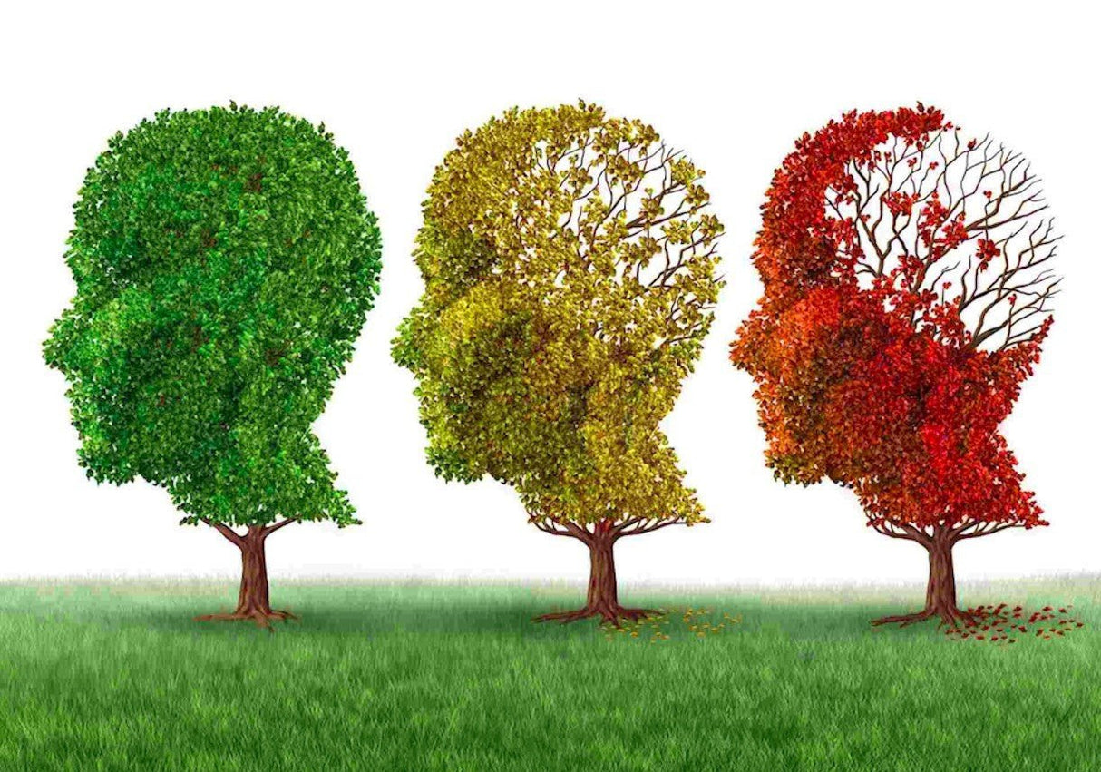 C60 in hemp seed oil - Uno Vita AS