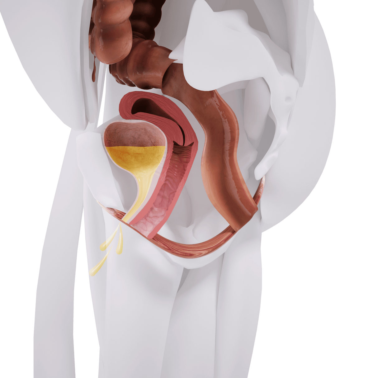 Uno Vitas EM-stol Mini bäckenbottenstimulering - Uno Vita AS