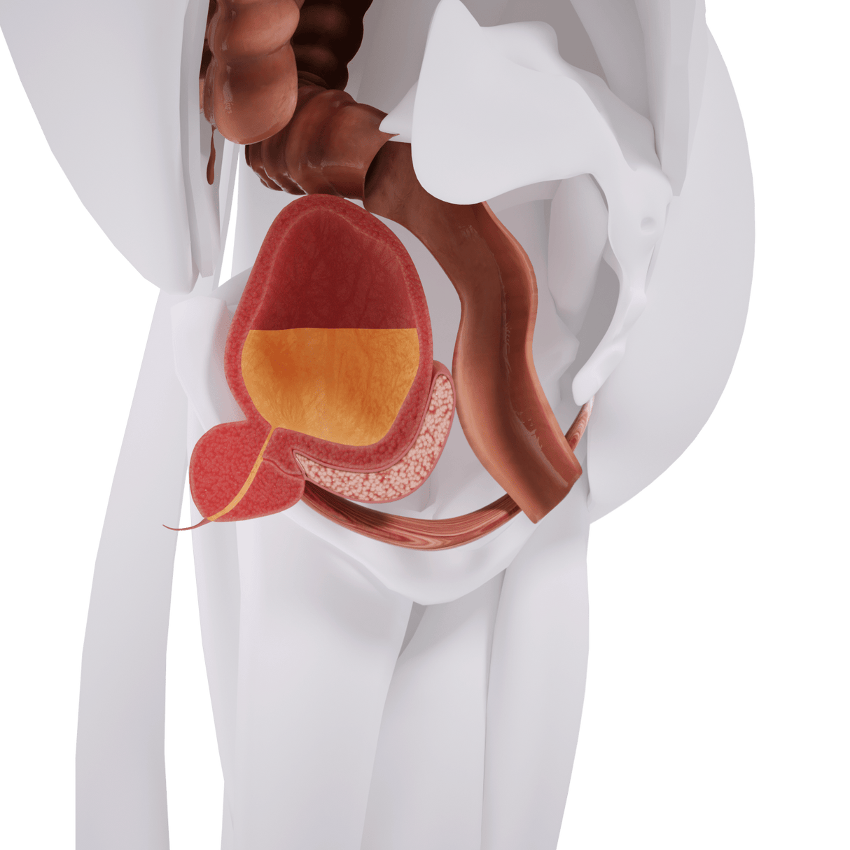 Uno Vitas EM-stol Mini bäckenbottenstimulering - Uno Vita AS