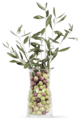 OLIVIE POWER UP - Rare Healthy Pearls... (100 grams)